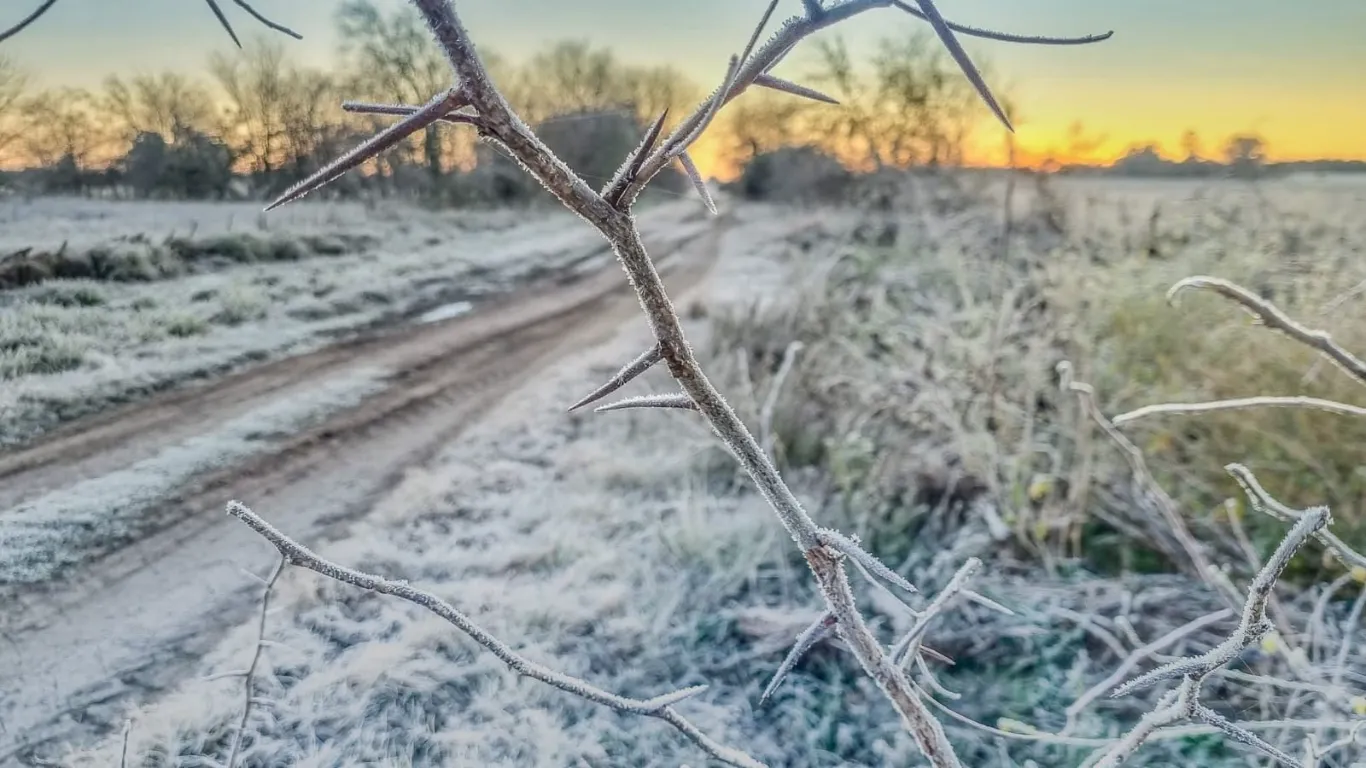 Alerta por frío extremo en Argentina: ola polar persistente, heladas severas y sol dominante esta se