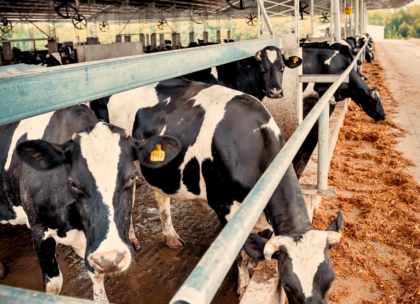 La provincia ofrece créditos con tasa bonificada a productores y pymes