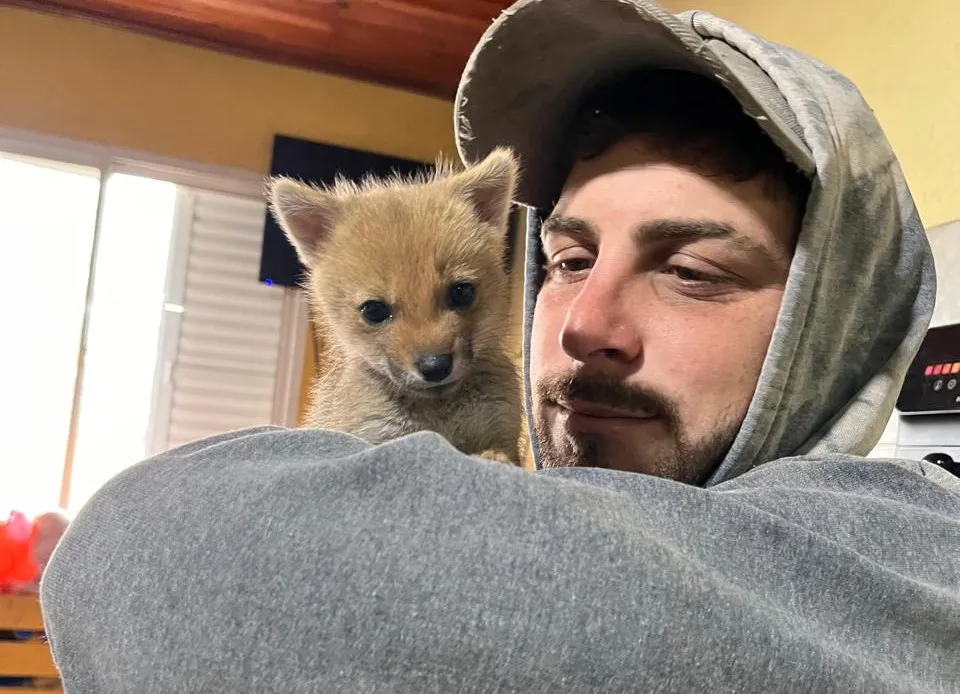 Carmen, la Zorra, Tendrá un Nuevo Comienzo Gracias a una Familia Amorosa