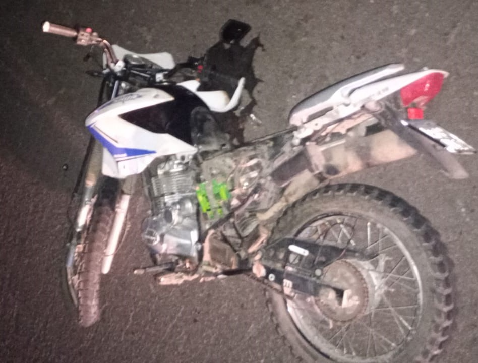 Trágico accidente en Ruta Provincial Nº 23: Un hombre falleció tras impactar contra un perro