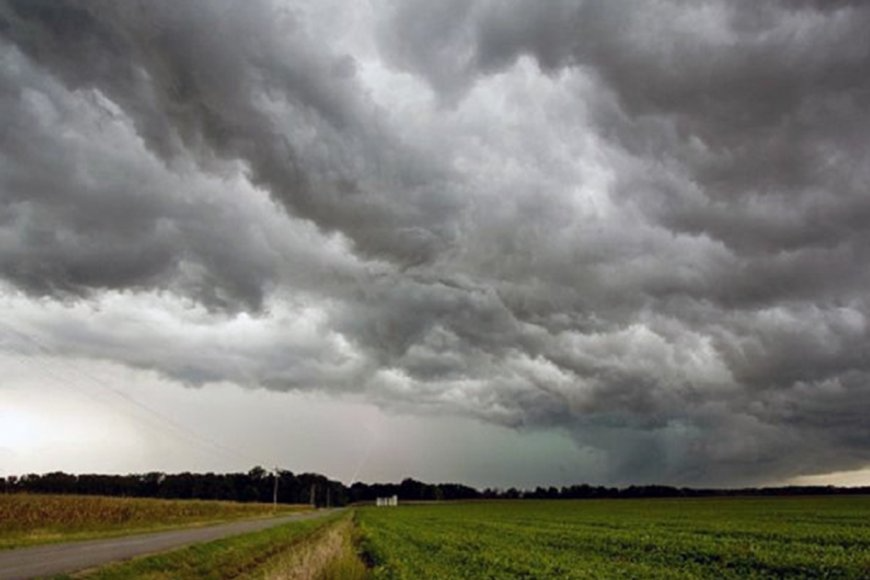 Alerta amarilla por fuertes vientos en el departamento Colón este domingo