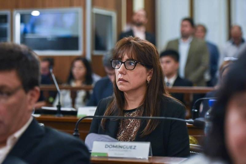 Domínguez: "La responsabilidad política consiste en actuar antes de que el problema sea irreversible