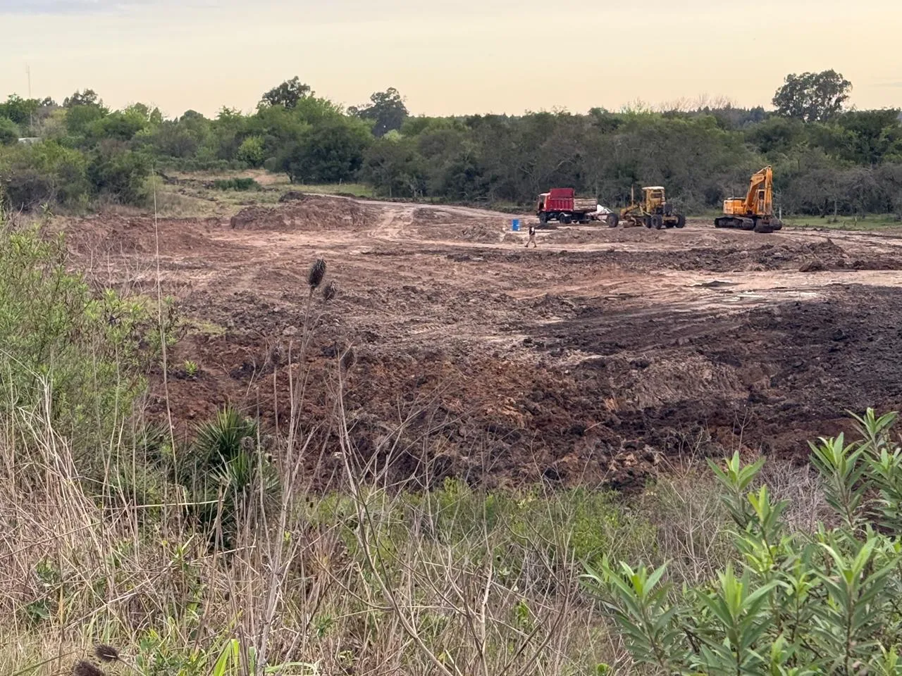 Amparo Ambiental en San José: La Justicia Ordena la Restauración de un Ecosistema en la Zona del Arr