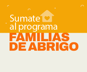 Publicidad